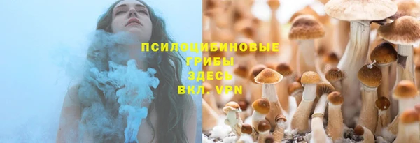 прущие крисы Алзамай