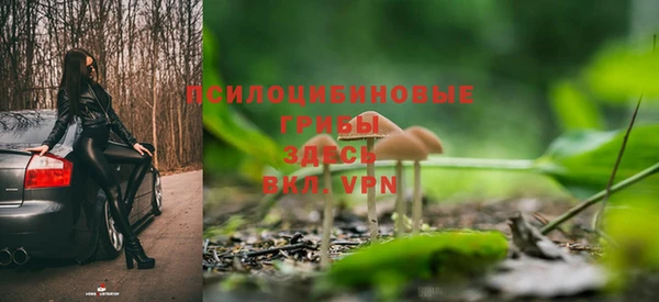 ПСИЛОЦИБИНОВЫЕ ГРИБЫ Алексеевка