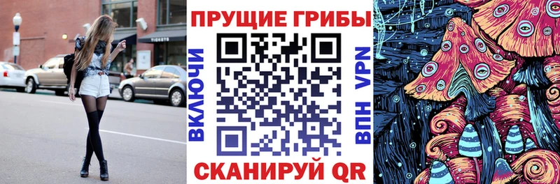 наркотики  Нефтекамск  это состав  Галлюциногенные грибы Cubensis 